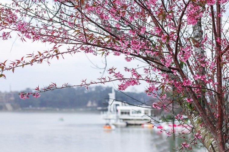 Hồ Xuân Hương - Đà Lạt